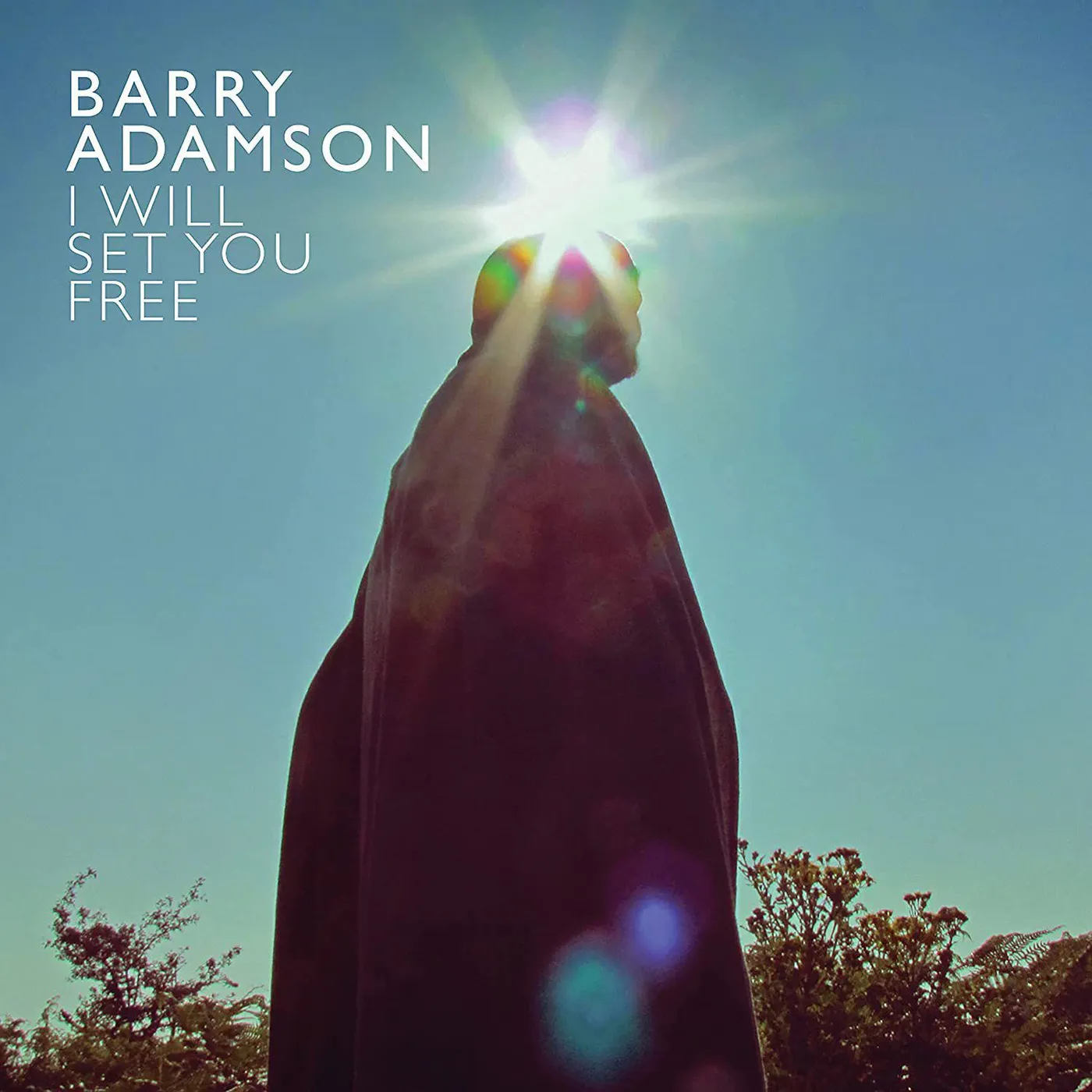 Barry Adamson I WILL SET YOU FREE (LIMITED CURACAO VINYL) Vinyl Record