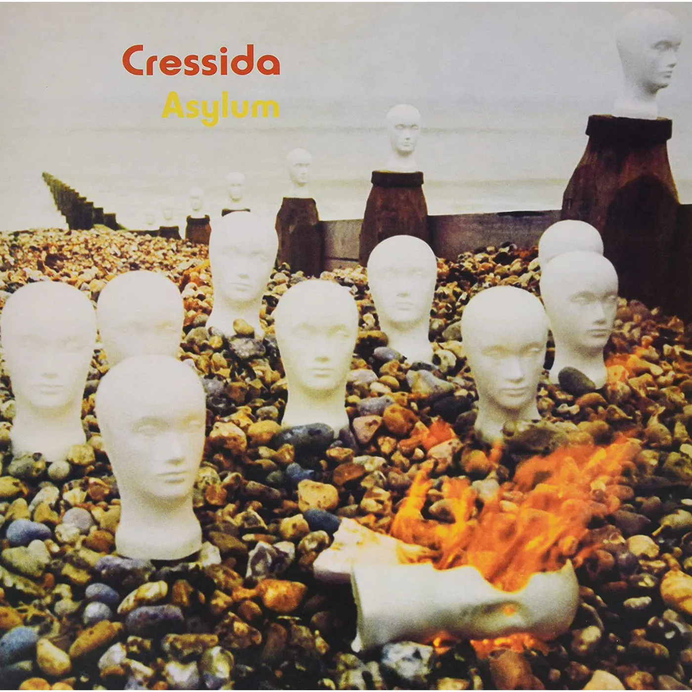 Cressida Asylum Vinyl Record