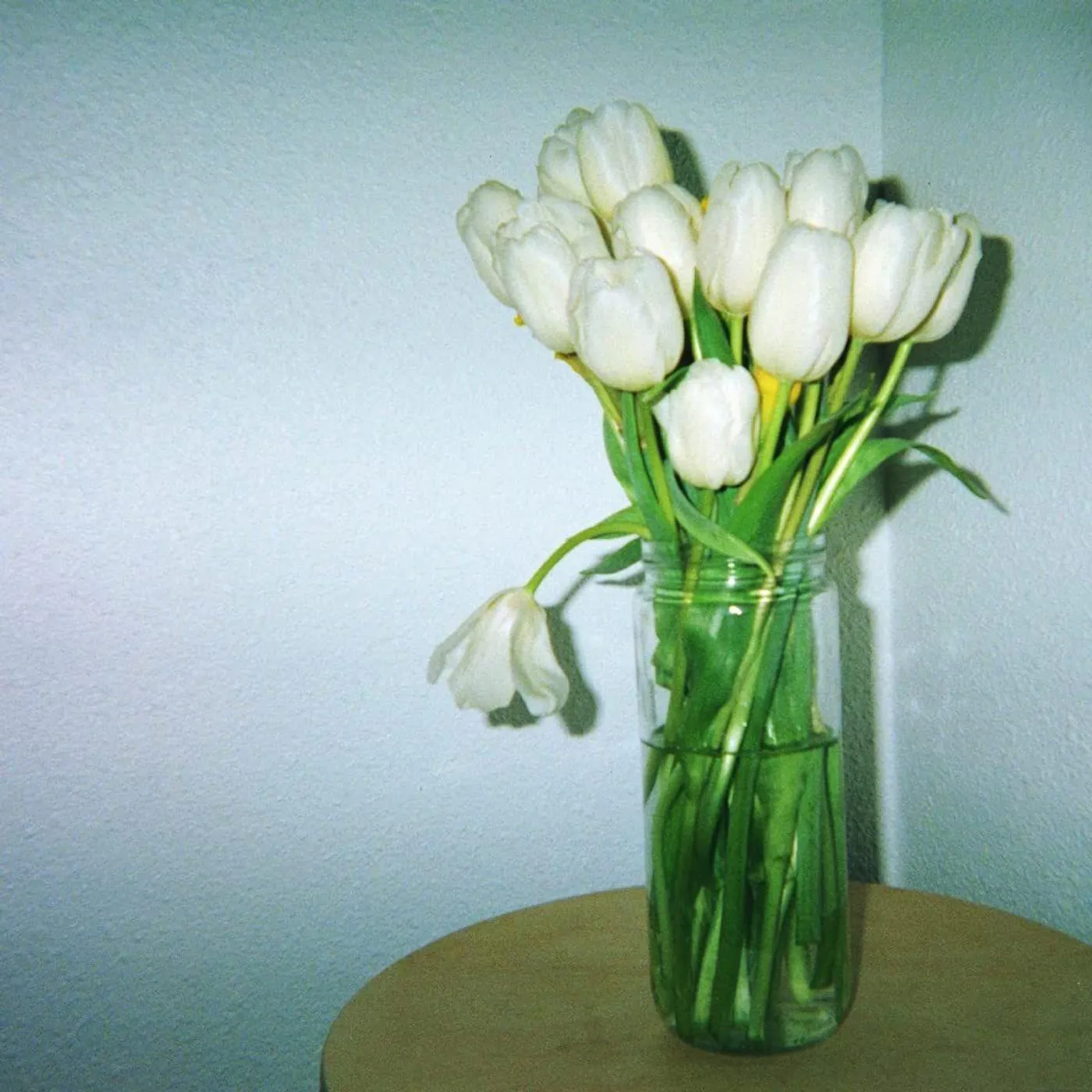 claire rousay Heavenly Touch Vinyl Record