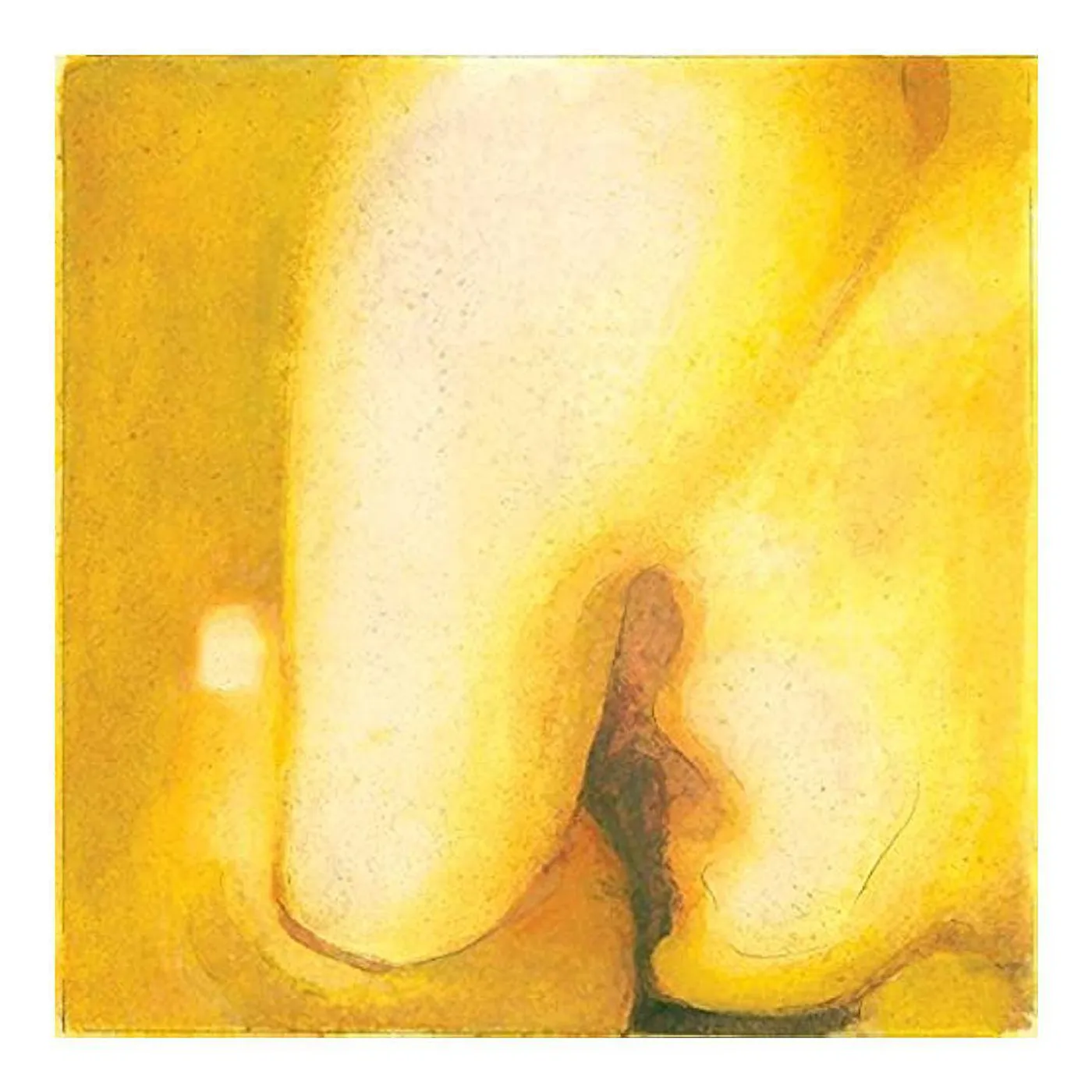 The Smashing Pumpkins Pisces Iscariot Vinyl Record