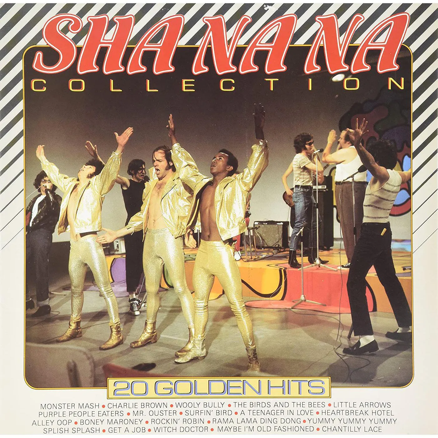 Sha Na Na 20 GOLDEN HITS Vinyl Record