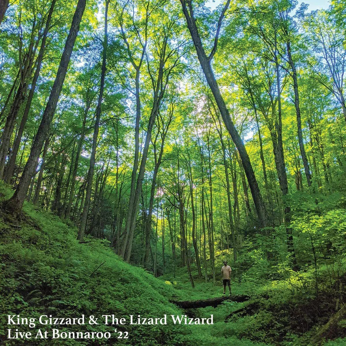 King Gizzard & The Lizard Wizard Live At Bonnaroo '22 (ORANGE BUZZSAW SHAPED) Vinyl Record