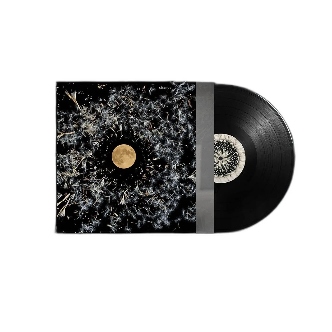 Lisa O'Neill All Of This Is Chance Vinyl Record
