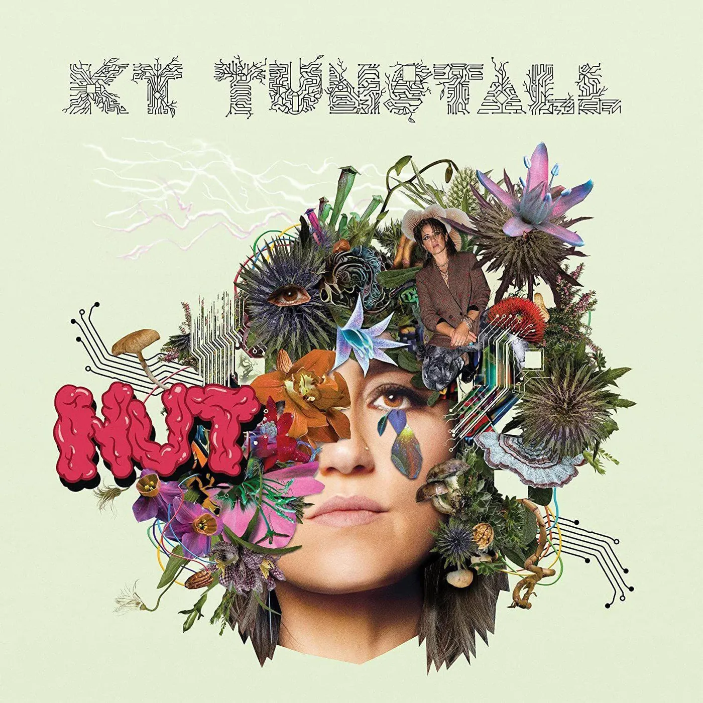 KT Tunstall Nut Vinyl Record
