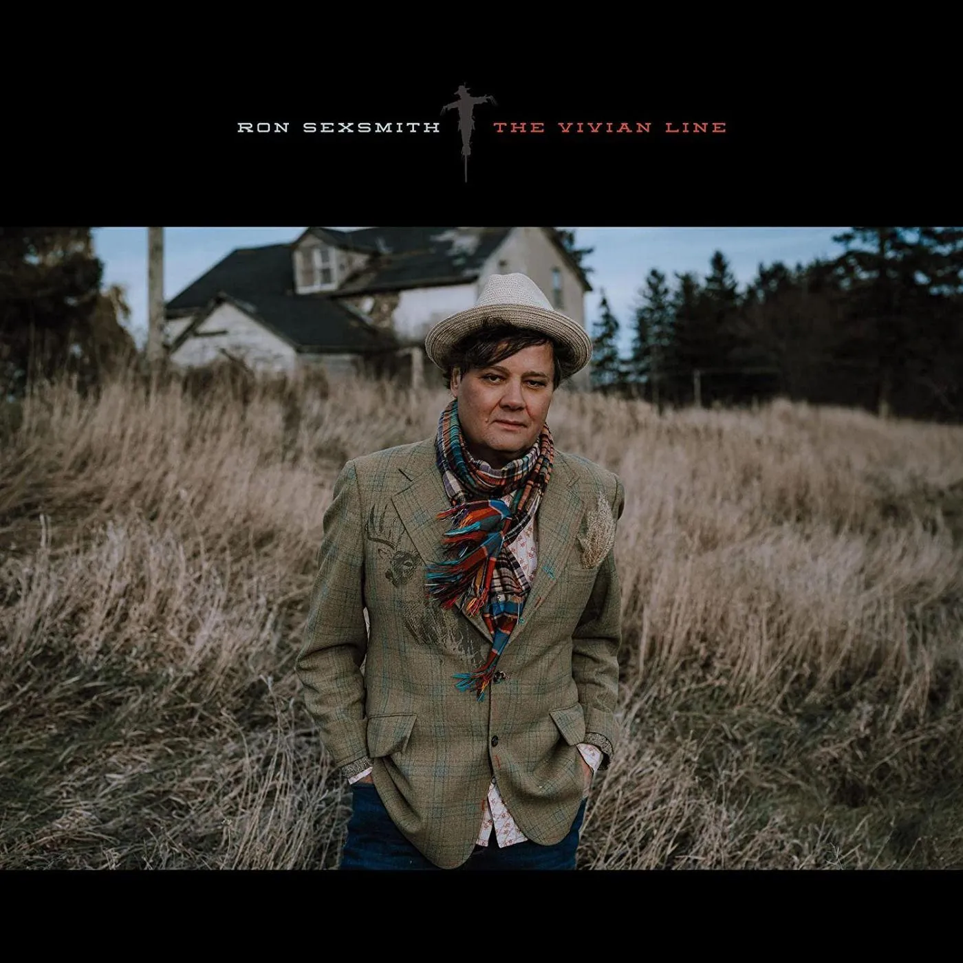 Ron Sexsmith The Vivian Line Vinyl Record