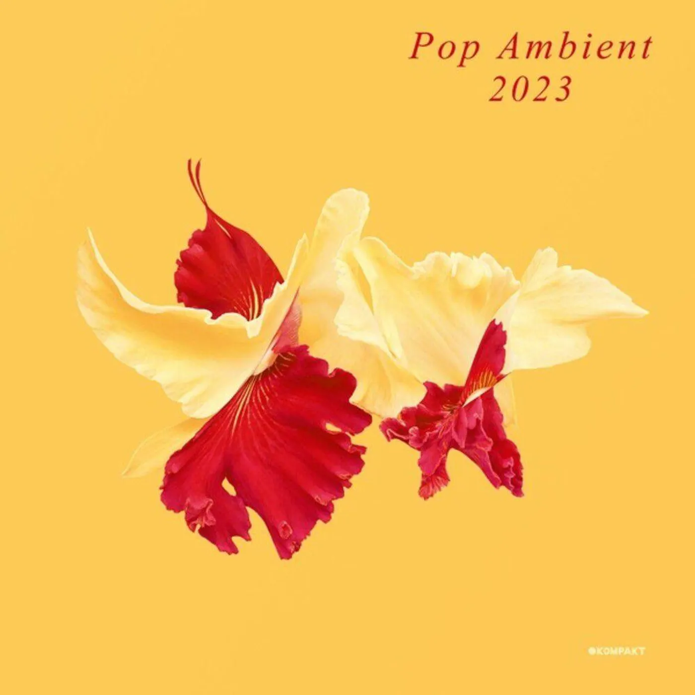 Various Artists  Pop Ambient 2023 Vinyl Record
