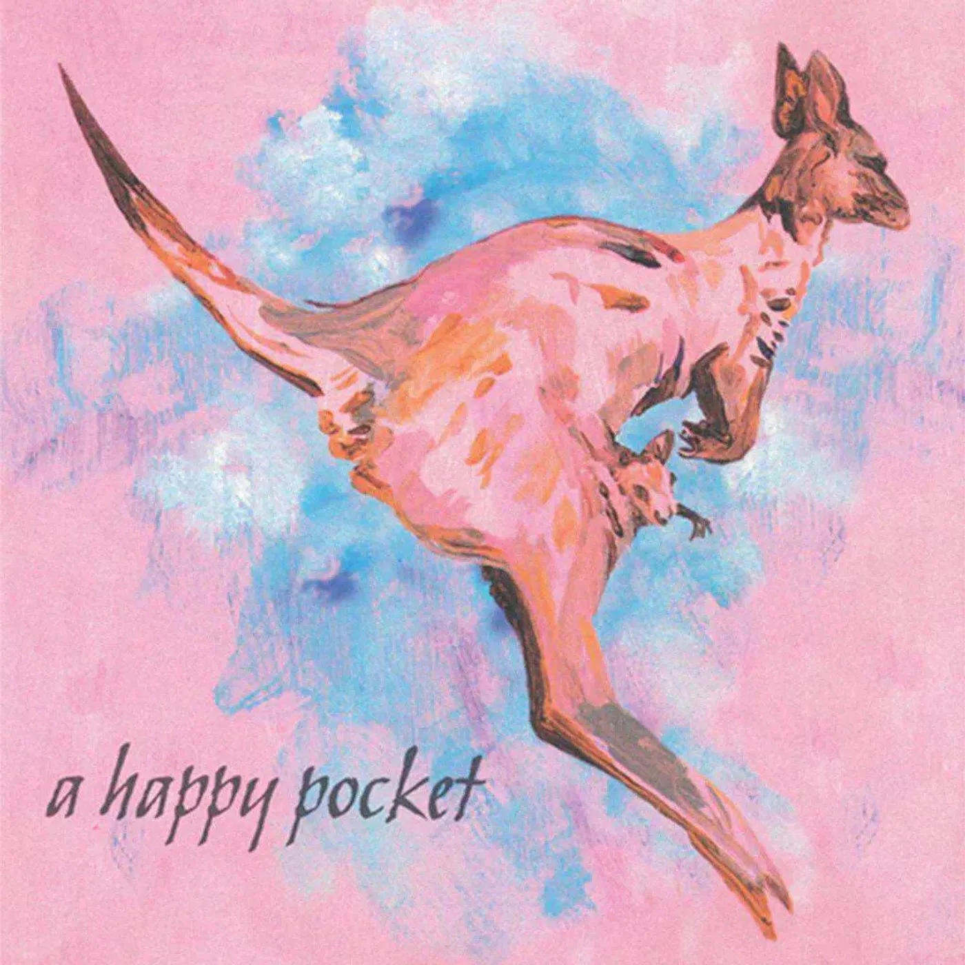 Trashcan Sinatras A Happy Pocket (Pink/2LP) Vinyl Record