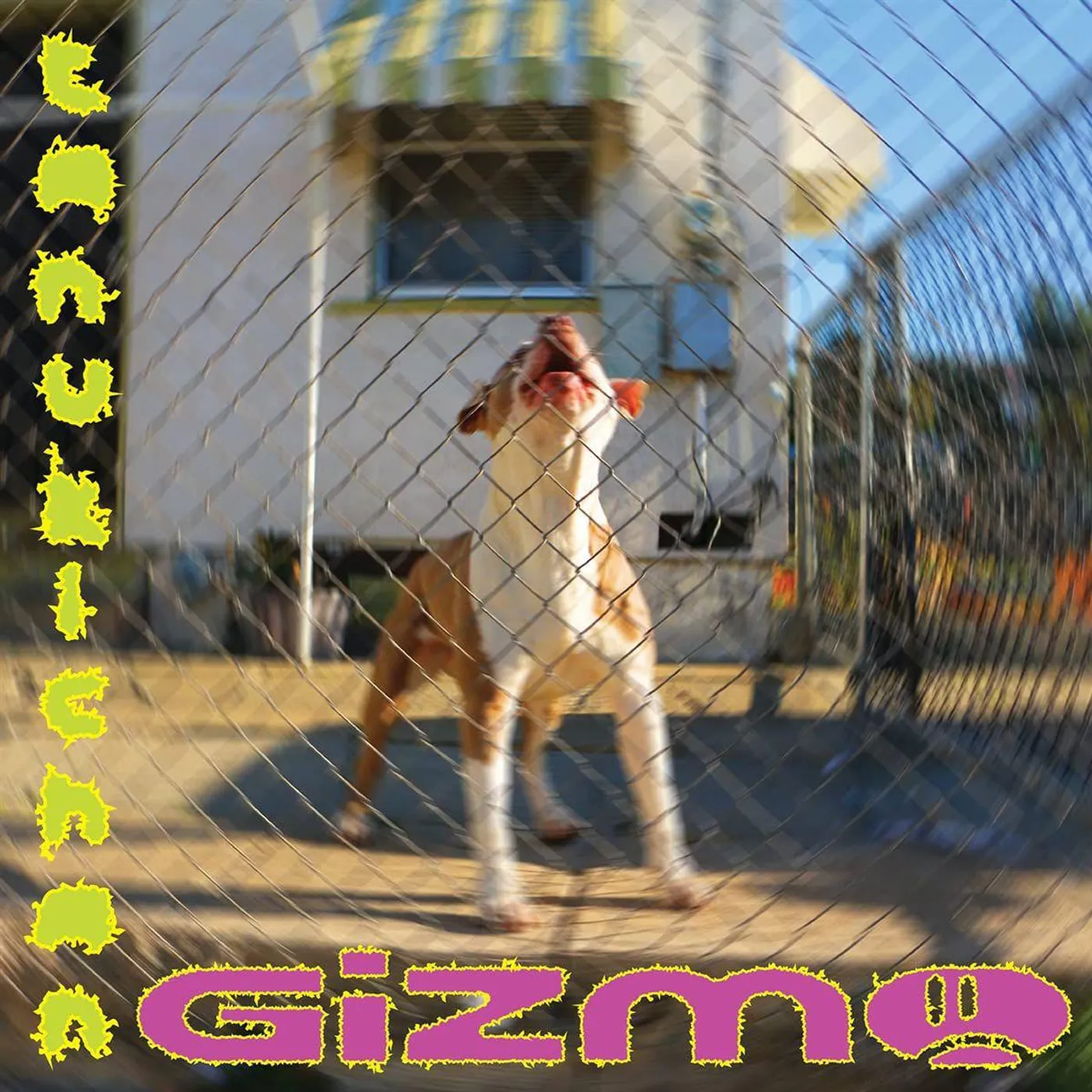 Tanukichan GIZMO Vinyl Record