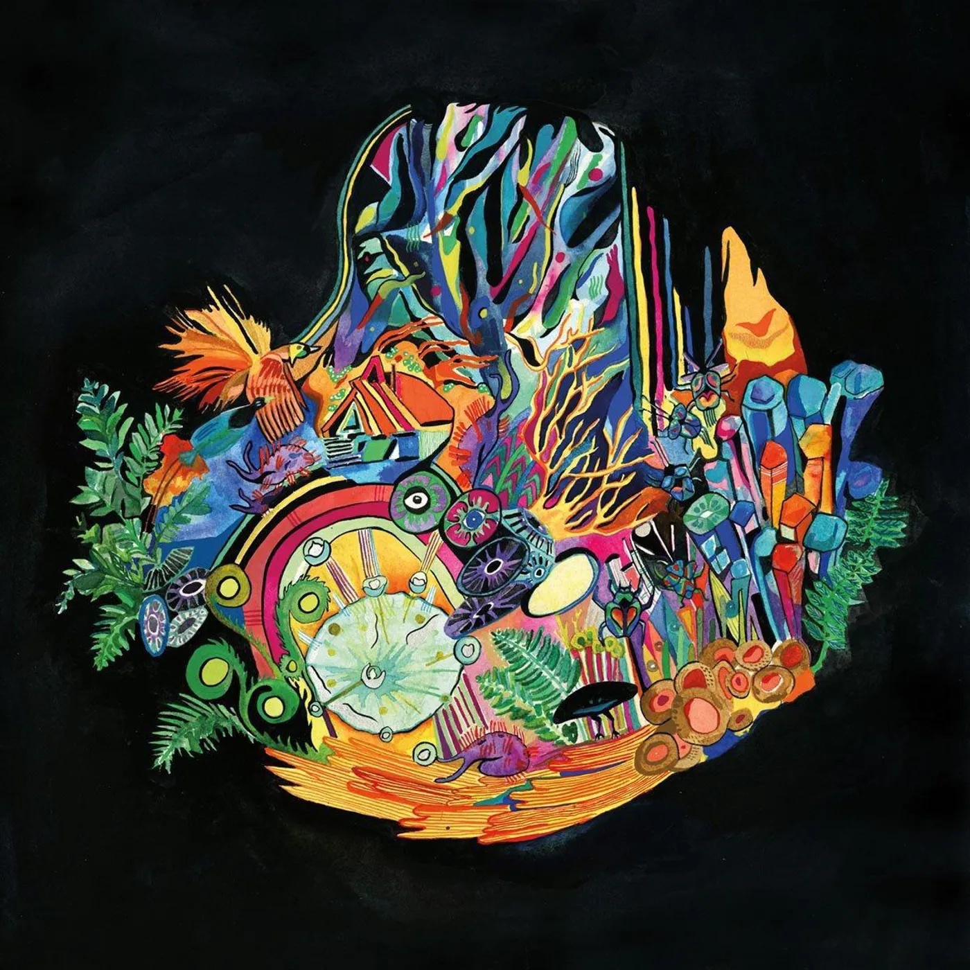 Kaitlyn Aurelia Smith EARS Vinyl Record