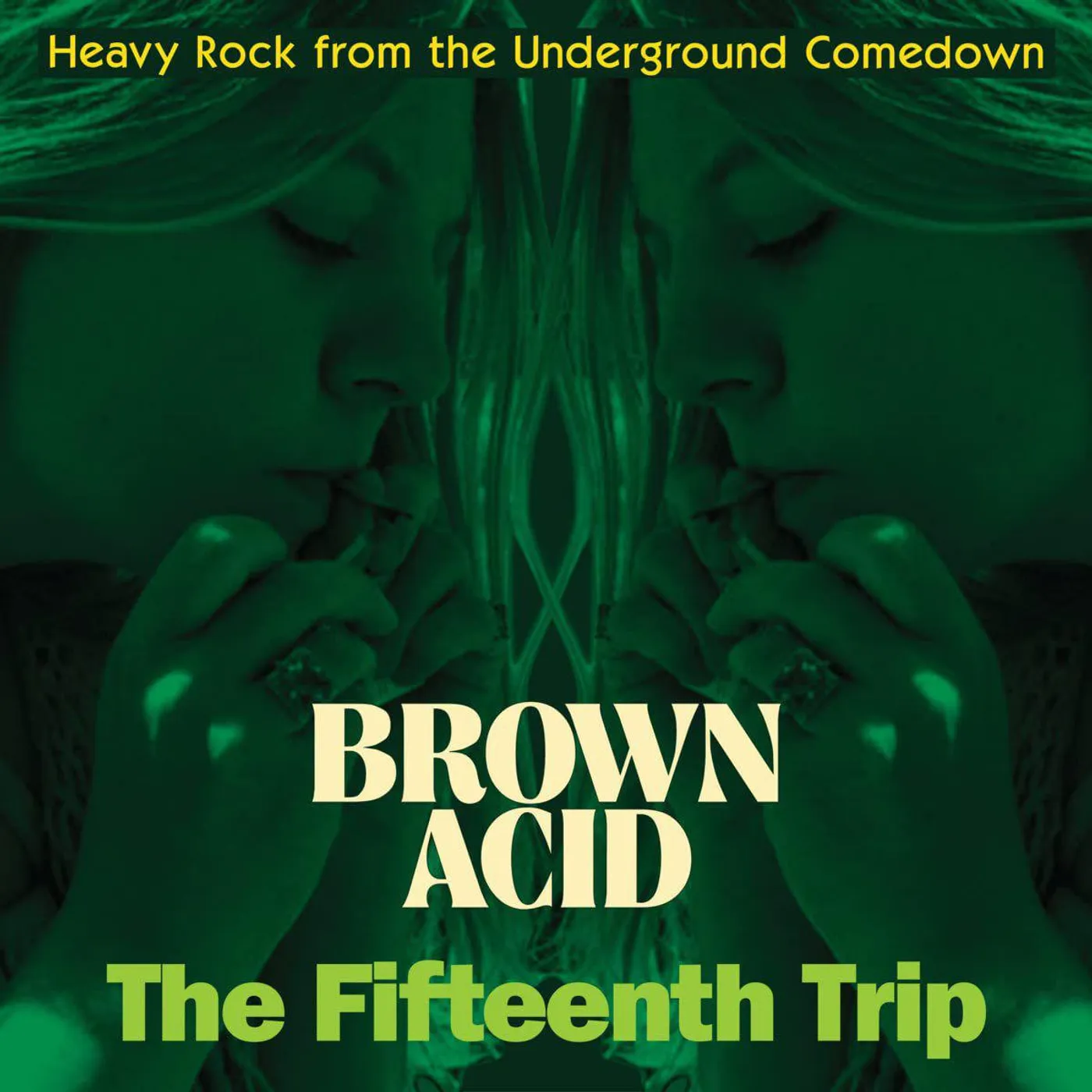 Various Artists  Brown Acid - The Fifteenth Trip Vinyl Record