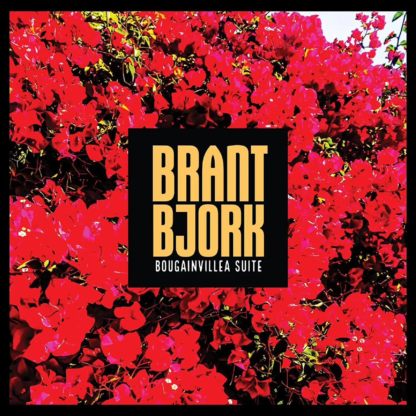 Brant Bjork Bougainvillea Suite Vinyl Record