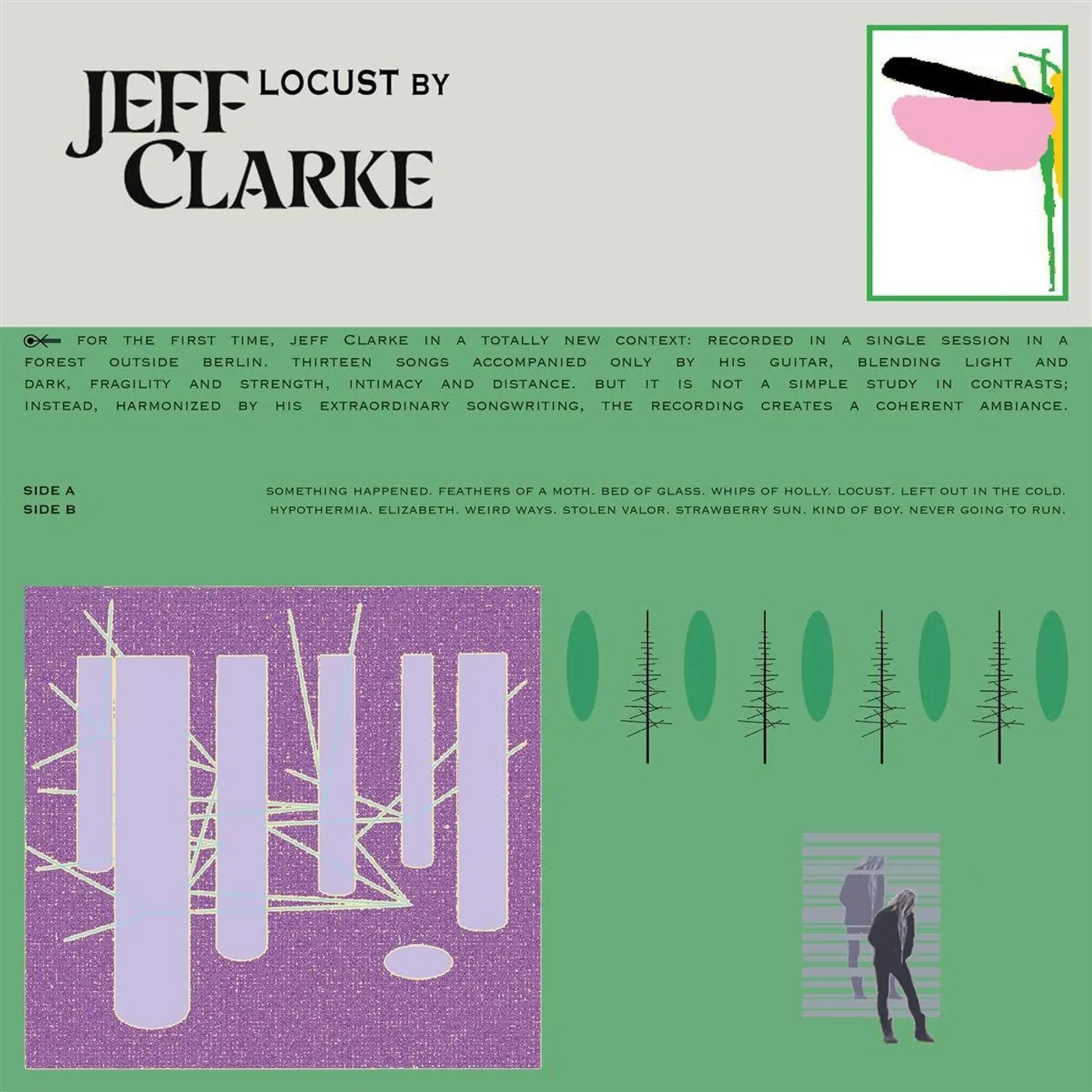 Jeff Clarke Locust Vinyl Record