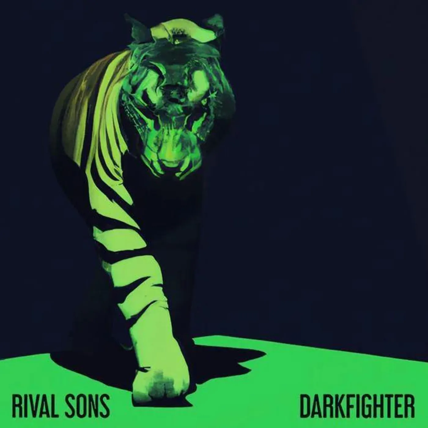 Rival Sons Darkfighter (Transparent) Vinyl Record