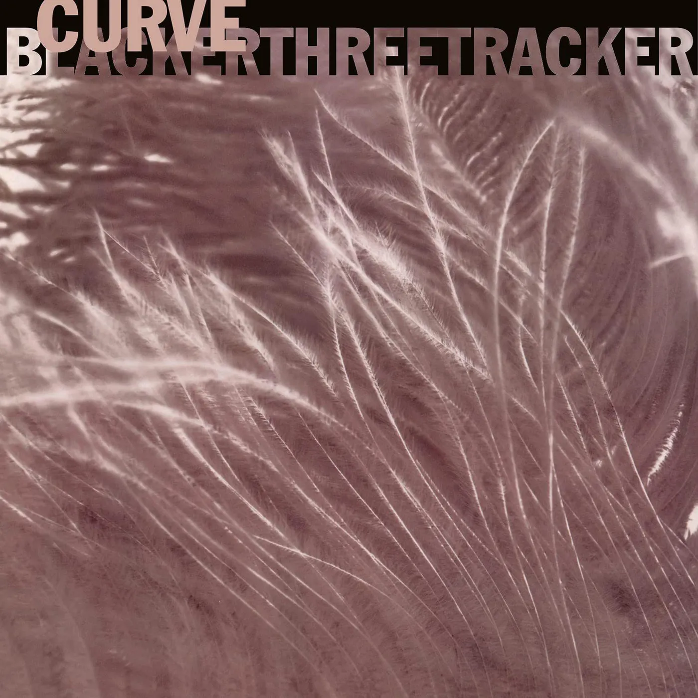 Curve Blackerthreetracker (Limited Smoke) Vinyl Record