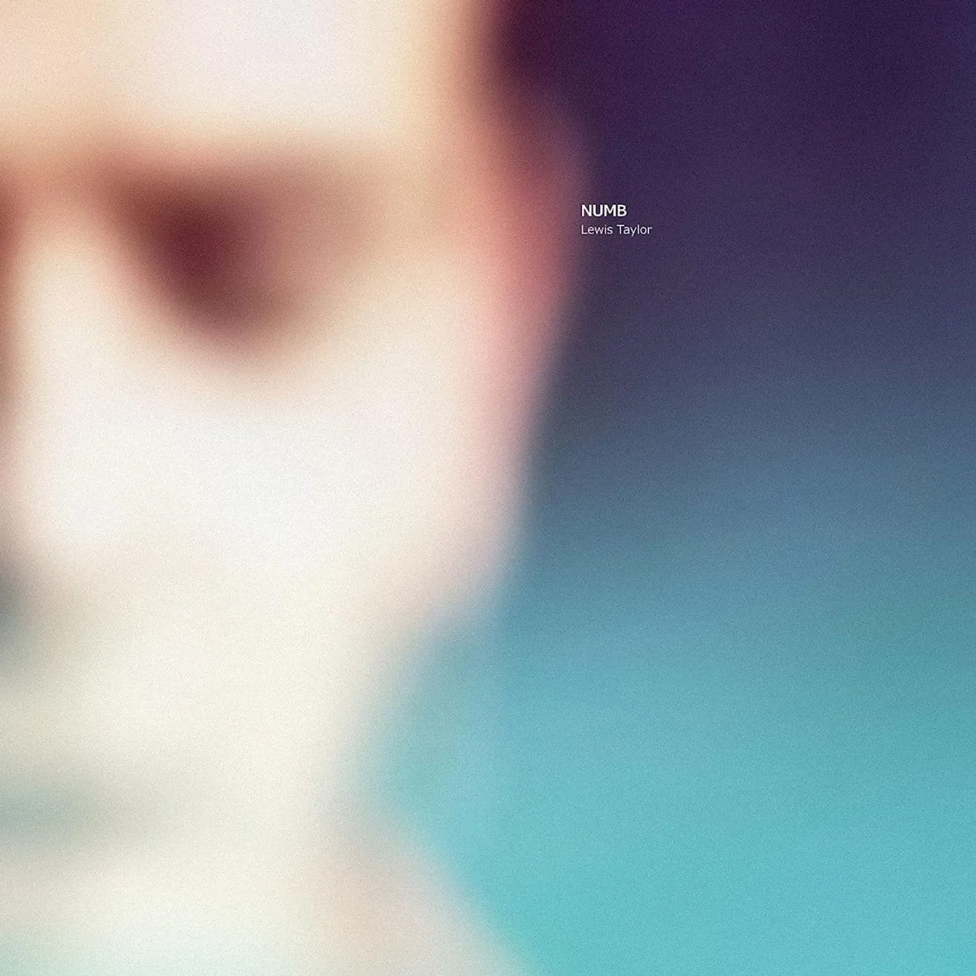 Lewis Taylor NUMB (2LP) Vinyl Record