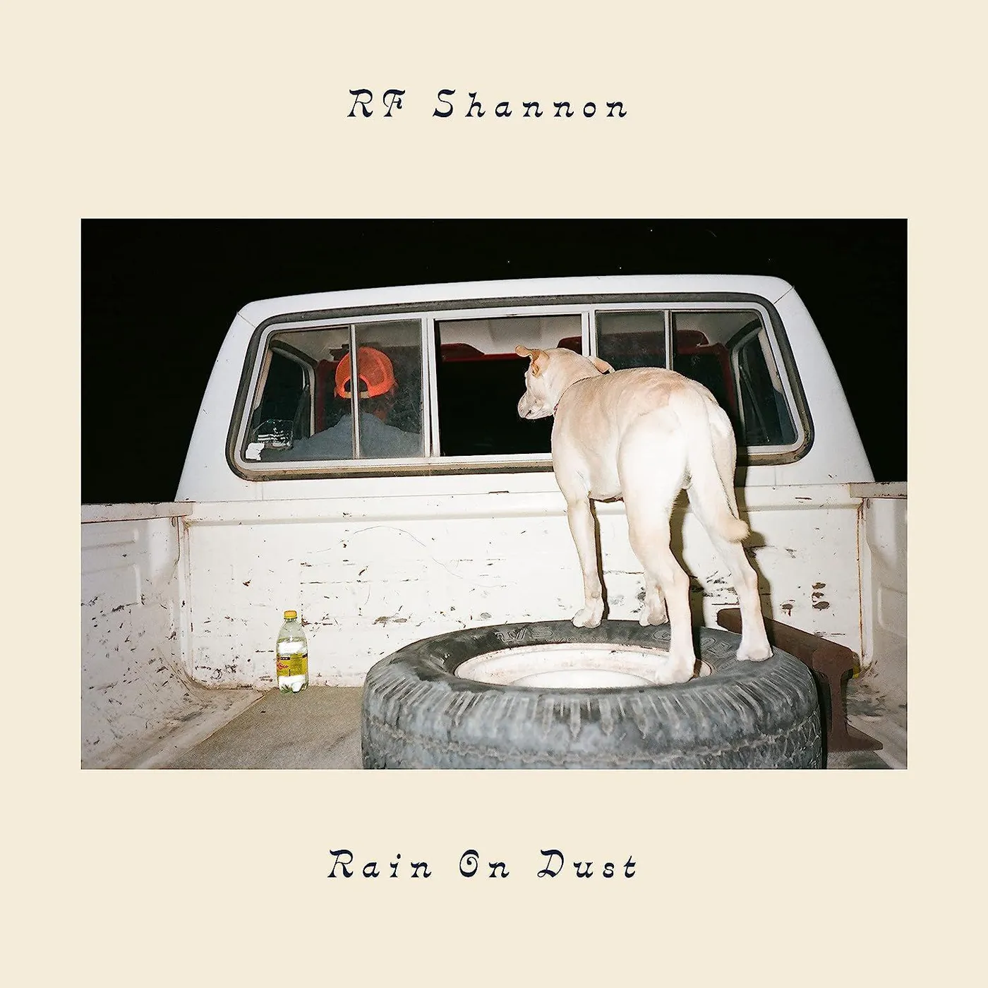 RF Shannon Rain On Dust (Coke Bottle Green W/ Agave Green & Lavender Marble) Vinyl Record