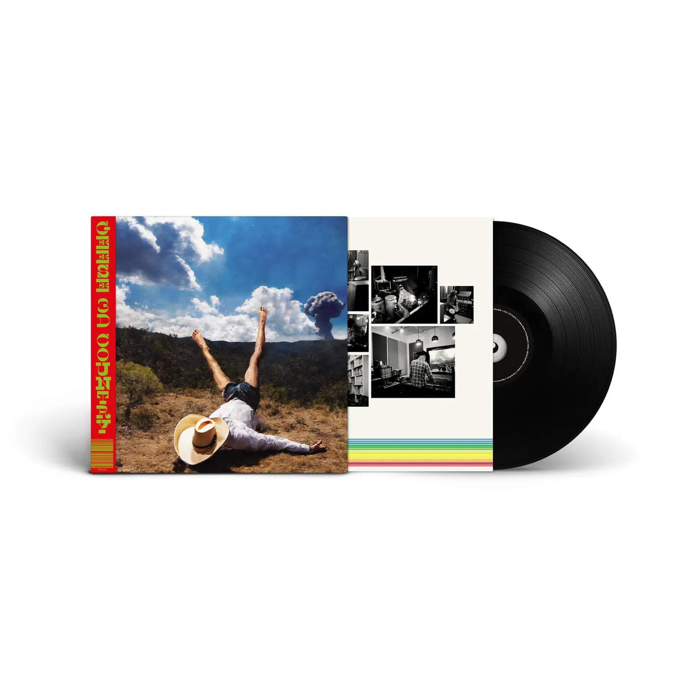 Geese 3D Country Vinyl Record