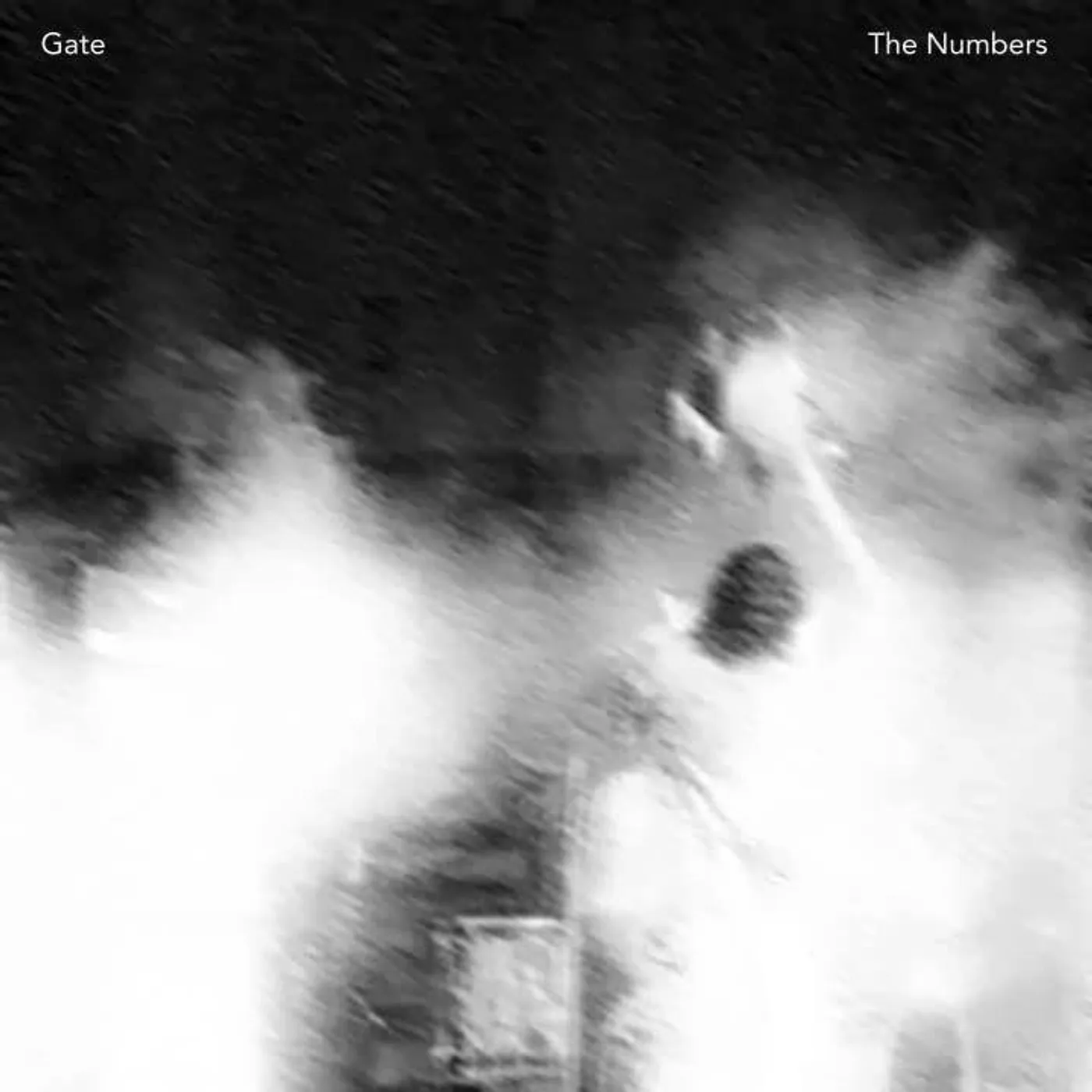 Gate The Numbers Vinyl Record