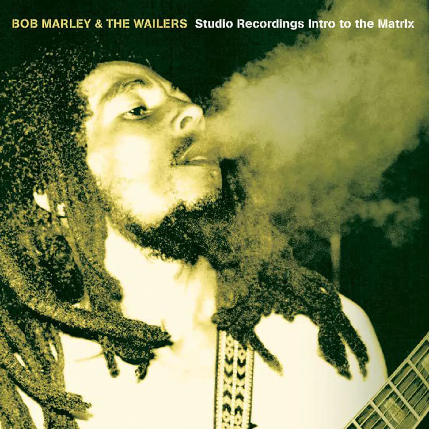 Bob Marley & The Wailers Studio Recordings Intro To The Matrix (2LP) Vinyl Record