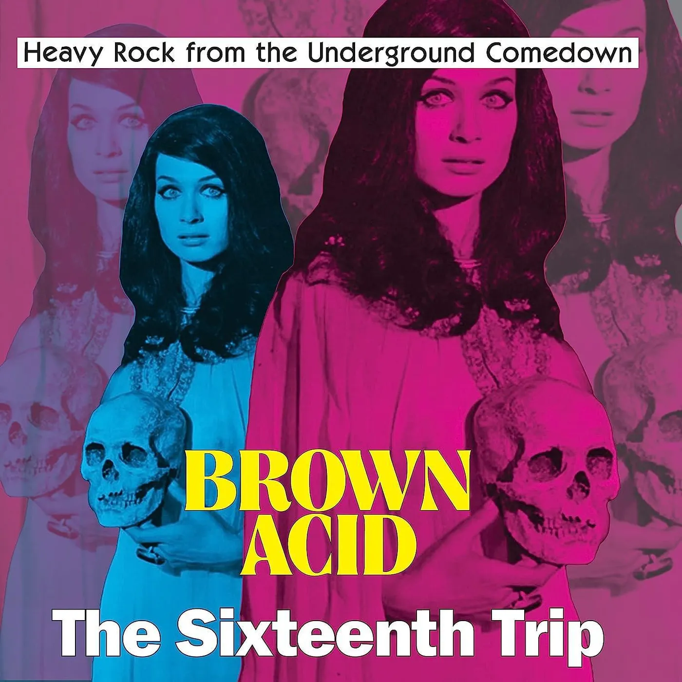 Various Artists  Brown Acid - The Sixteenth Trip Vinyl Record