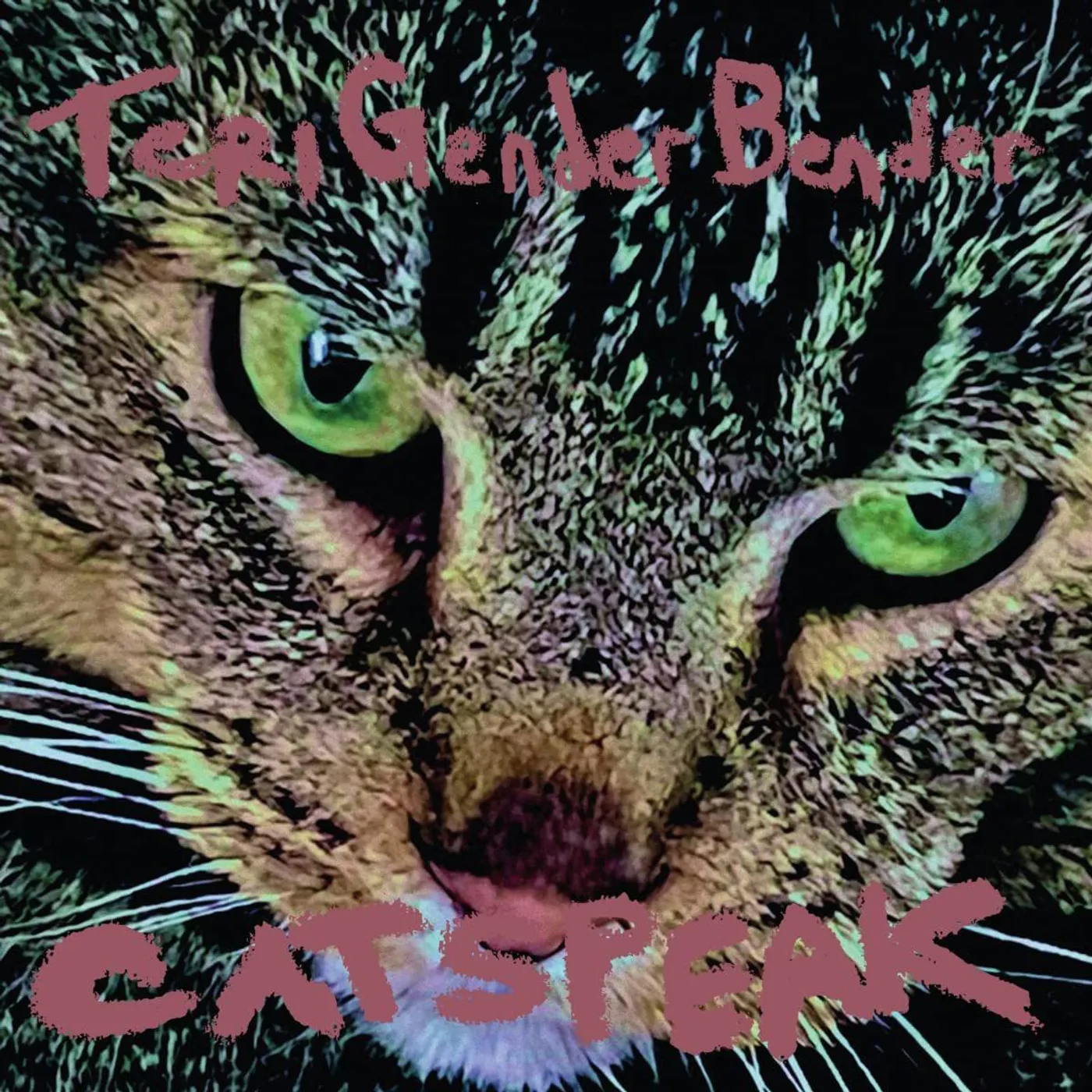 Teri Gender Bender Catspeak Vinyl Record