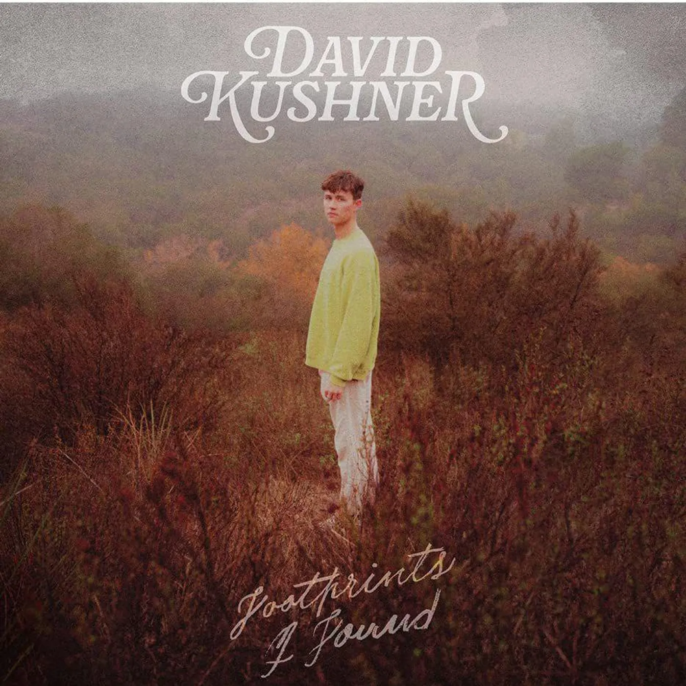 David Kushner Footprints I Found (Silver Metallic/brown-yellow Splatter) Vinyl Record