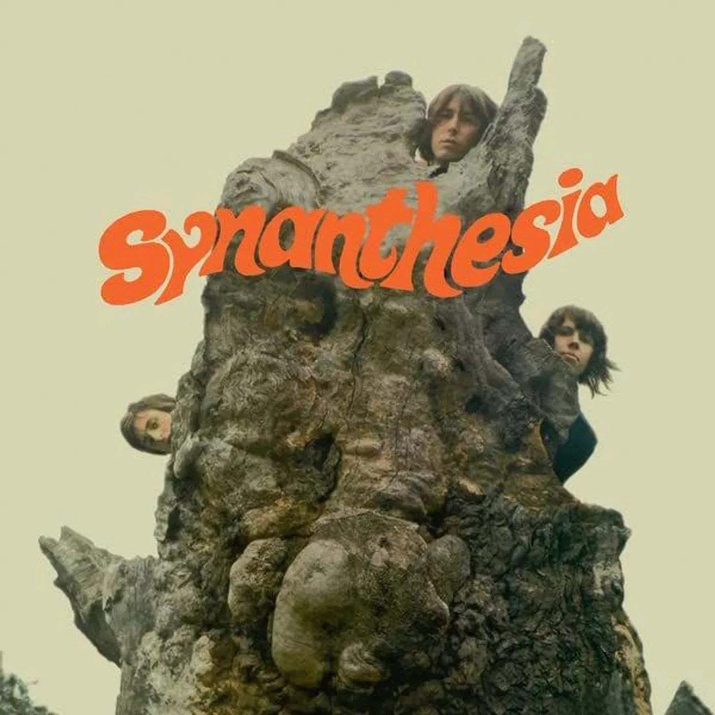 SYNANTHESIA Vinyl Record