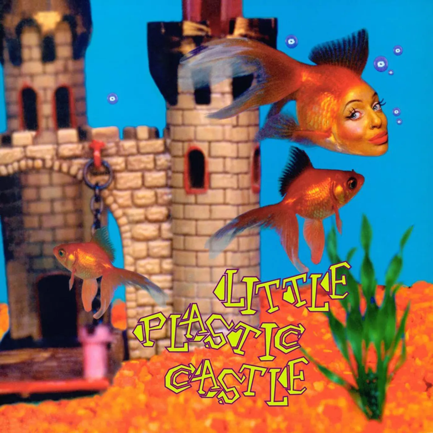 Ani DiFranco LITTLE PLASTIC CASTLE (25TH ANNIVERSARY EDITION/2LP) Vinyl Record