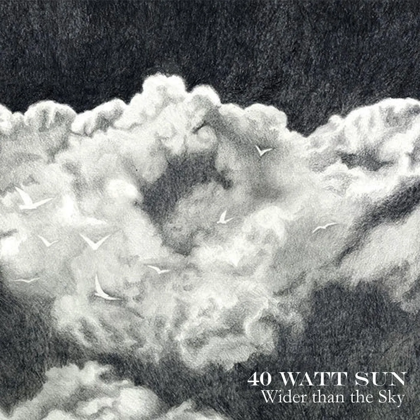 40 Watt Sun Wider Than The Sky Vinyl Record