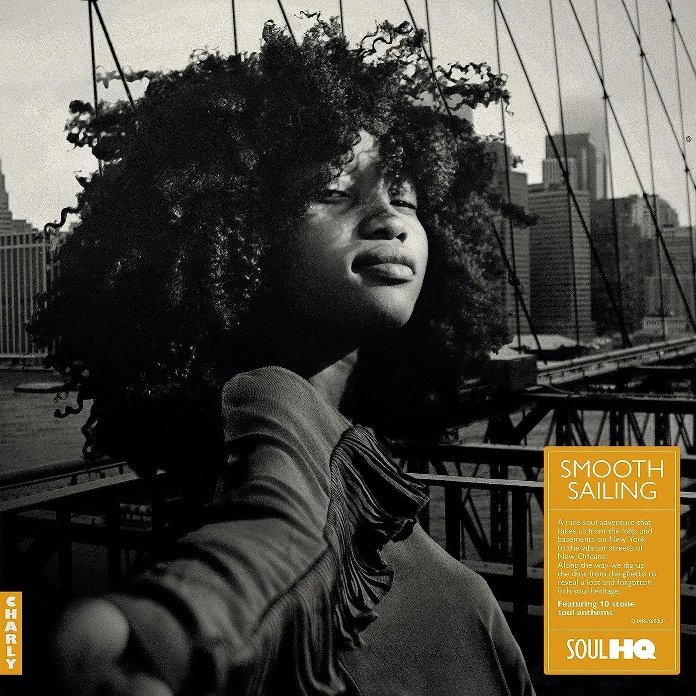 Various Artists  Smooth Sailing: A Rare Soul Adventure Vinyl Record