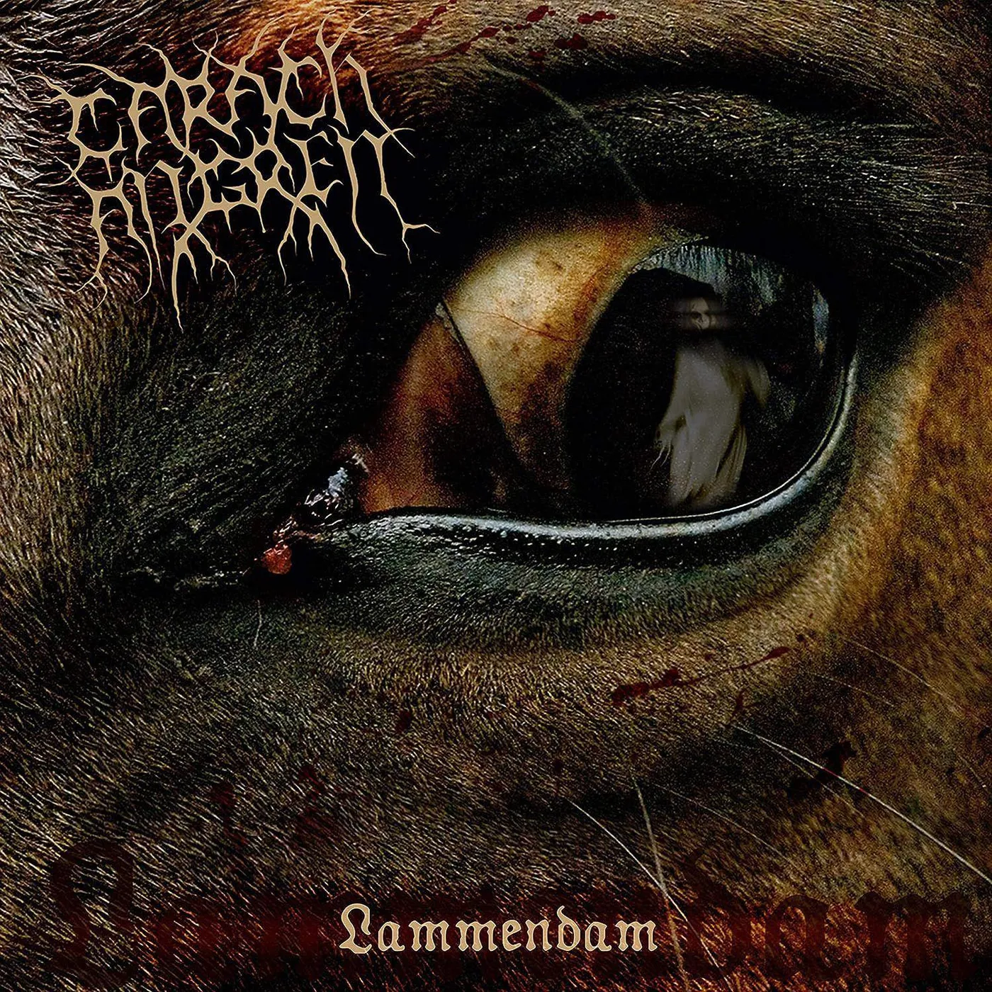 Carach Angren Lammendam (2LP/Orange & Black Marbled) Vinyl Record