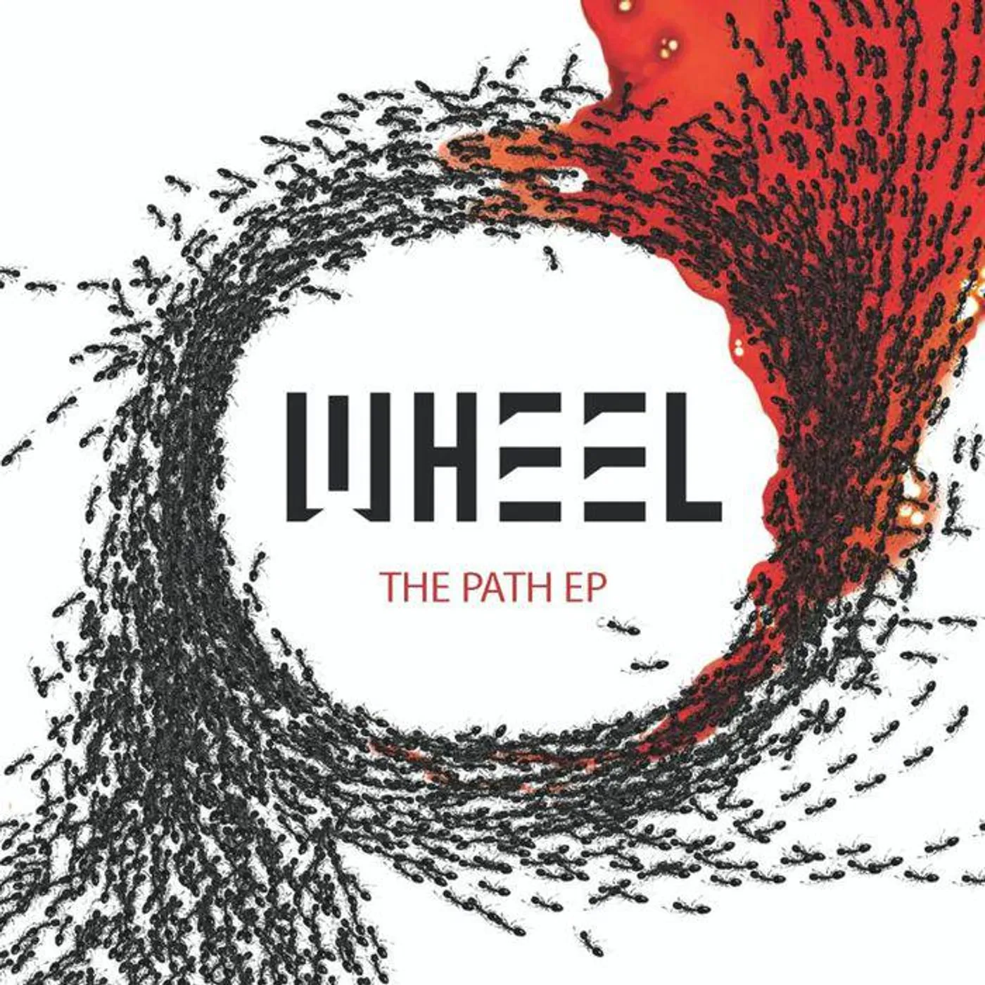 Wheel Path / The Divide  (Import) Vinyl Record