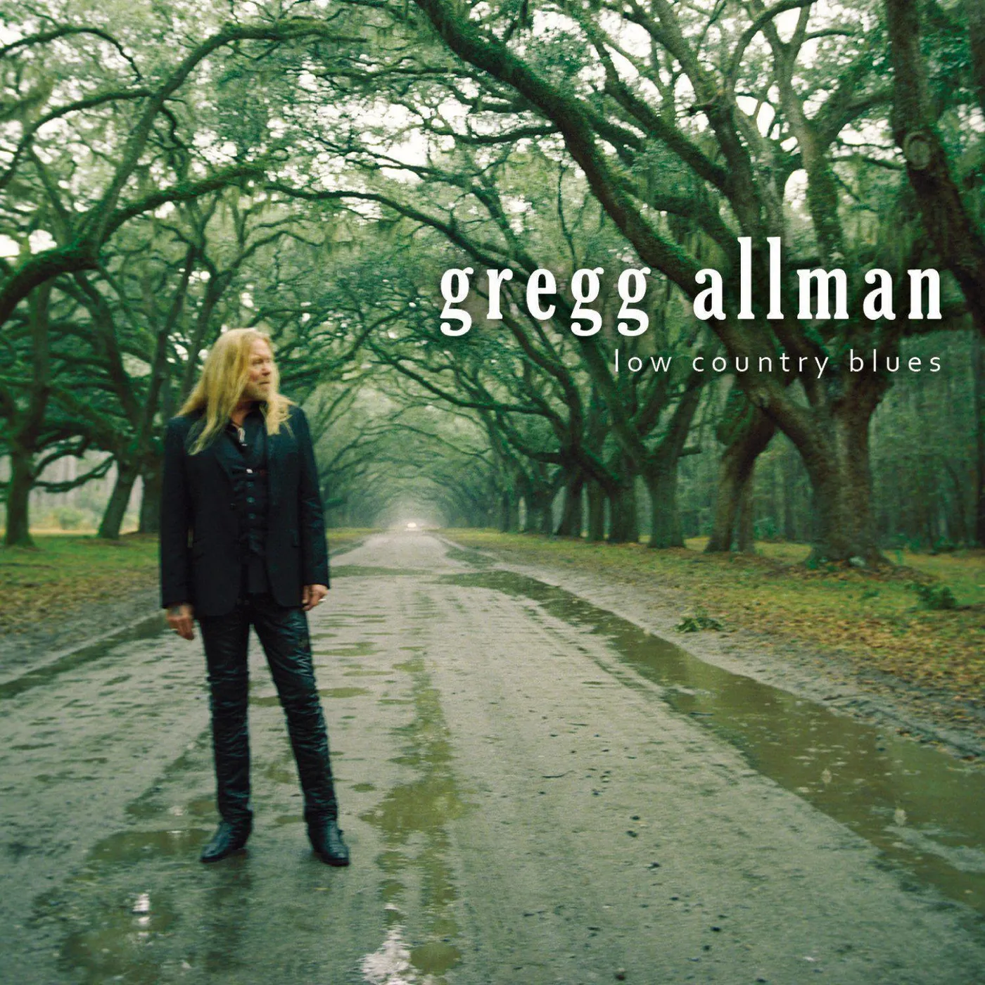Gregg Allman Low Country Blues (2LP) Vinyl Record