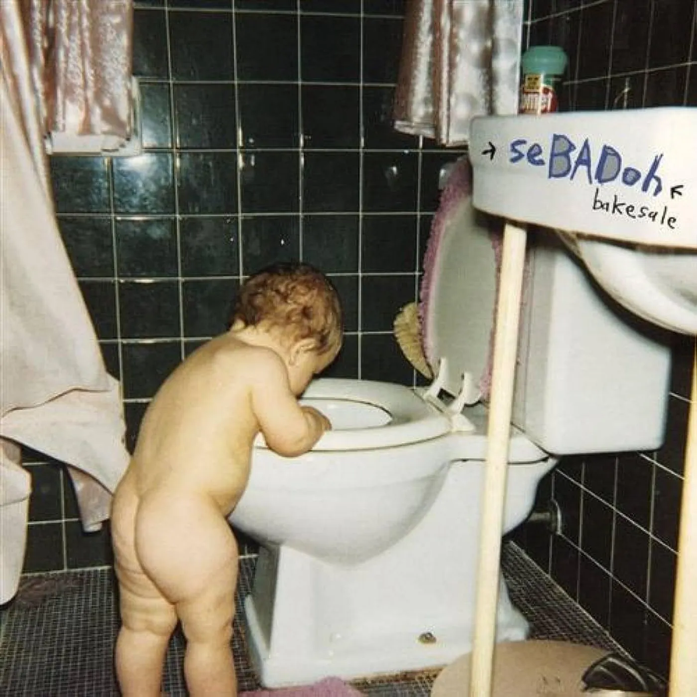 Sebadoh Bakesale Vinyl Record