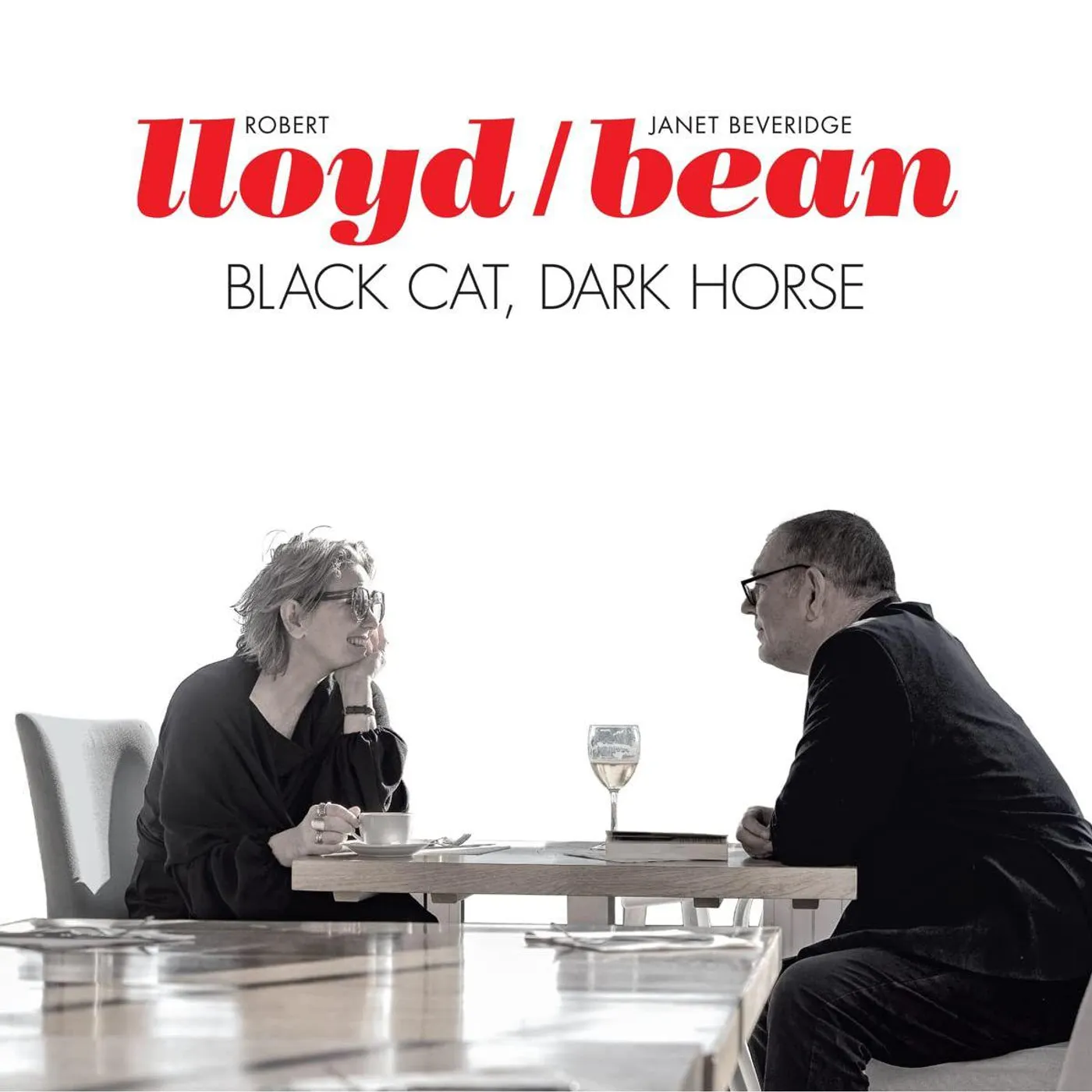 Lloyd / Bean Black Cat, Dark Horse Vinyl Record