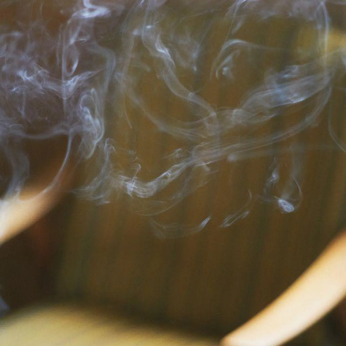 Johanna Orellana Las Camelias, Tres Esquinas Vinyl Record