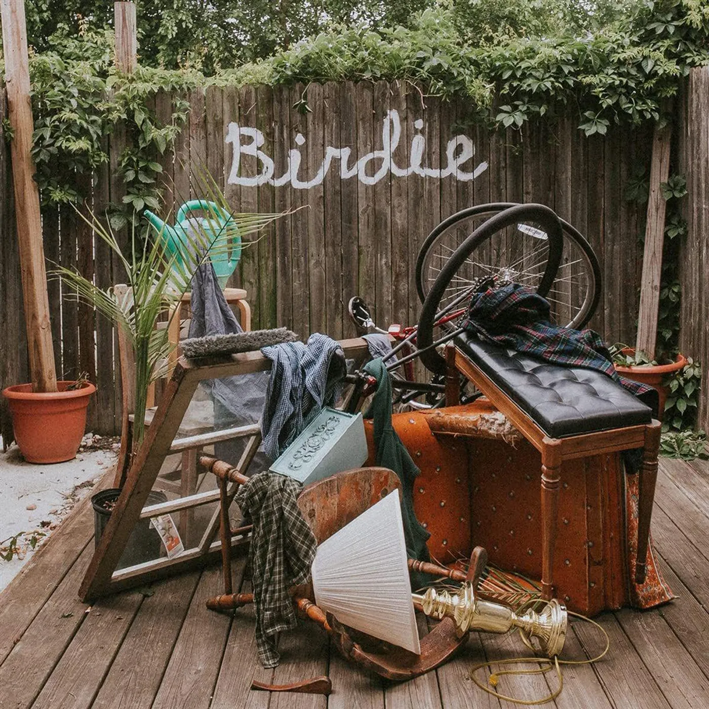 Slaughter Beach, Dog Birdie (Olive Green) Vinyl Record