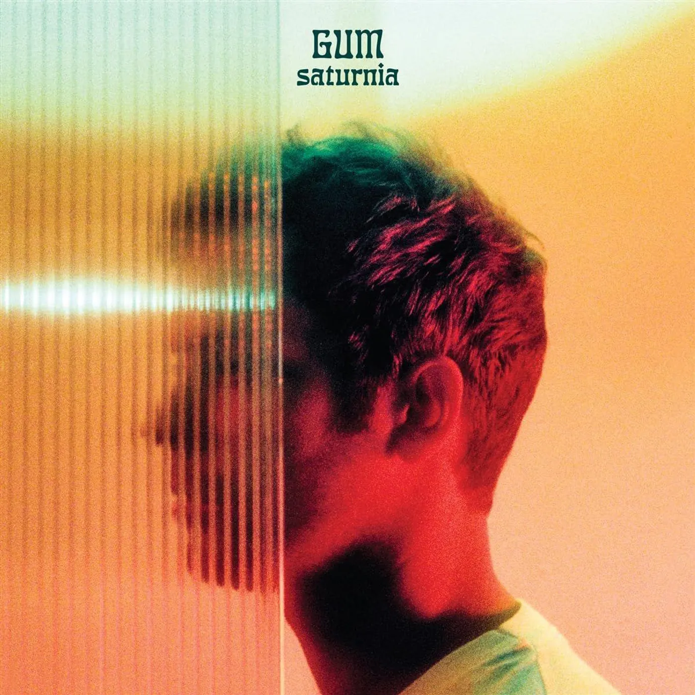 GUM Saturnia (Clear Vinyl/180G) Vinyl Record