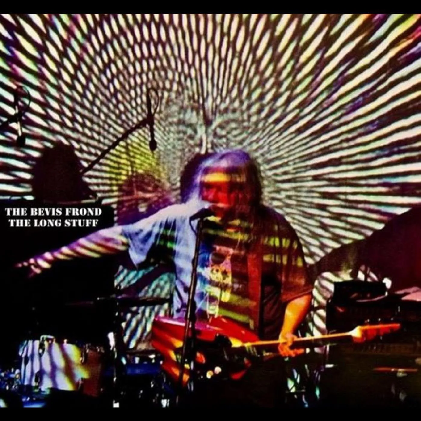 The Bevis Frond Long Stuff (2LP) Vinyl Record