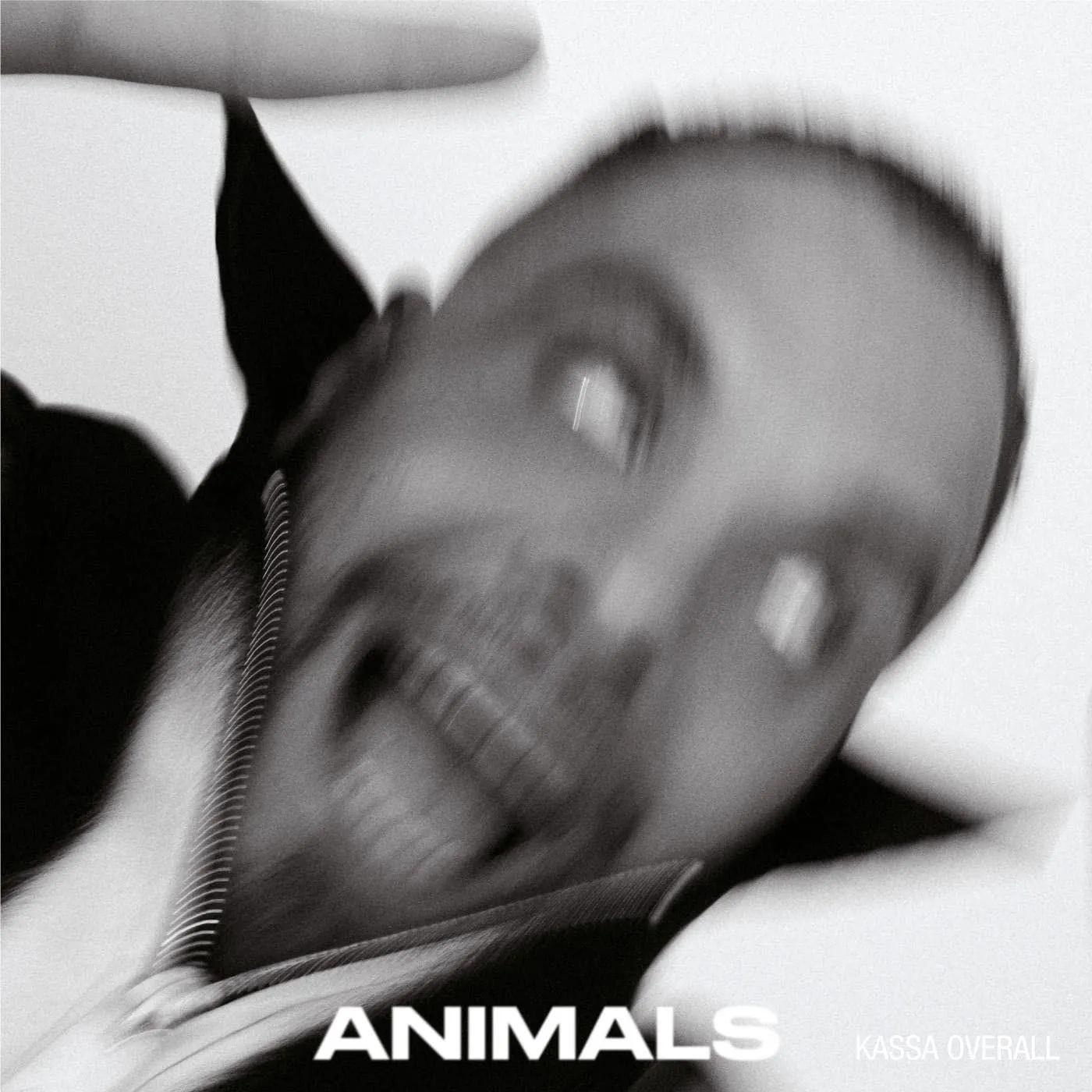 Kassa Overall Animals Vinyl Record