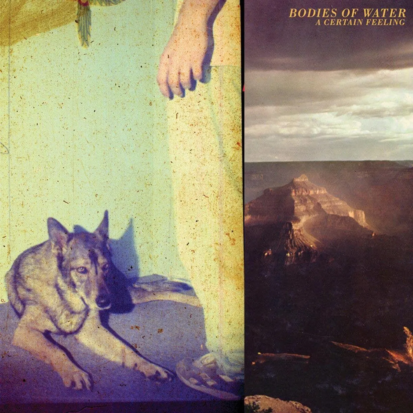 Bodies Of Water CERTAIN FEELING Vinyl Record