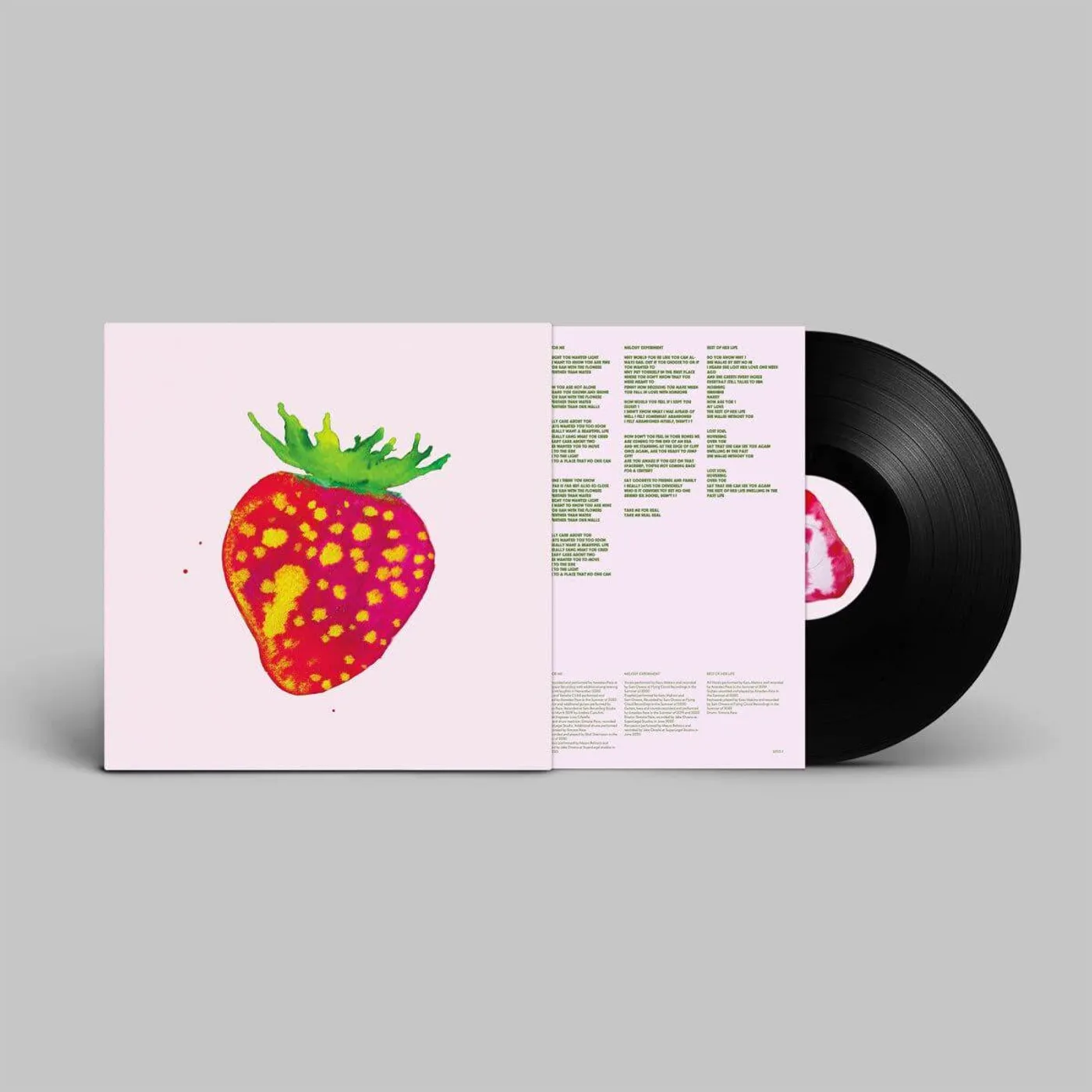 Blonde Redhead SIT DOWN FOR DINNER Vinyl Record