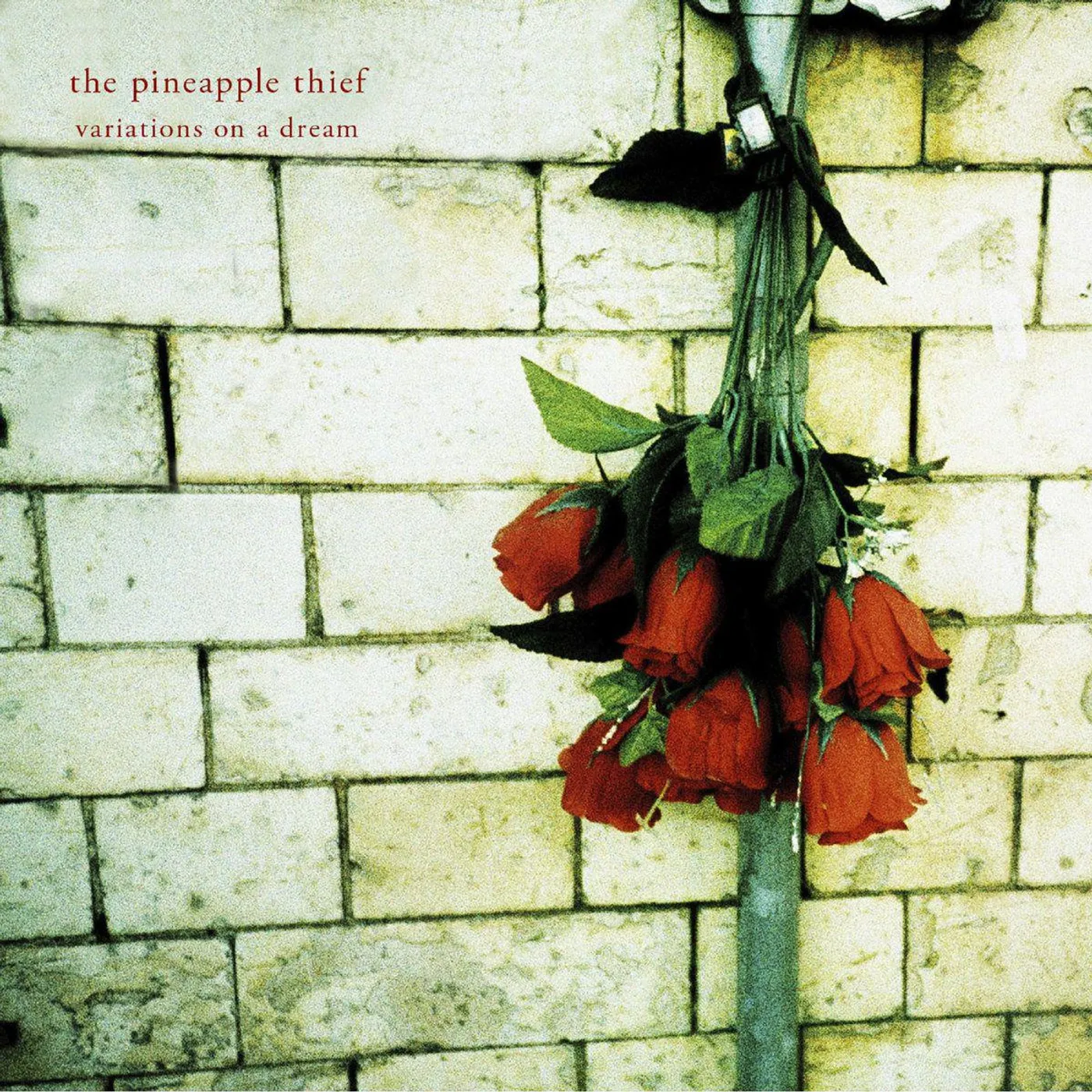 The Pineapple Thief Variations On A Dream Vinyl Record