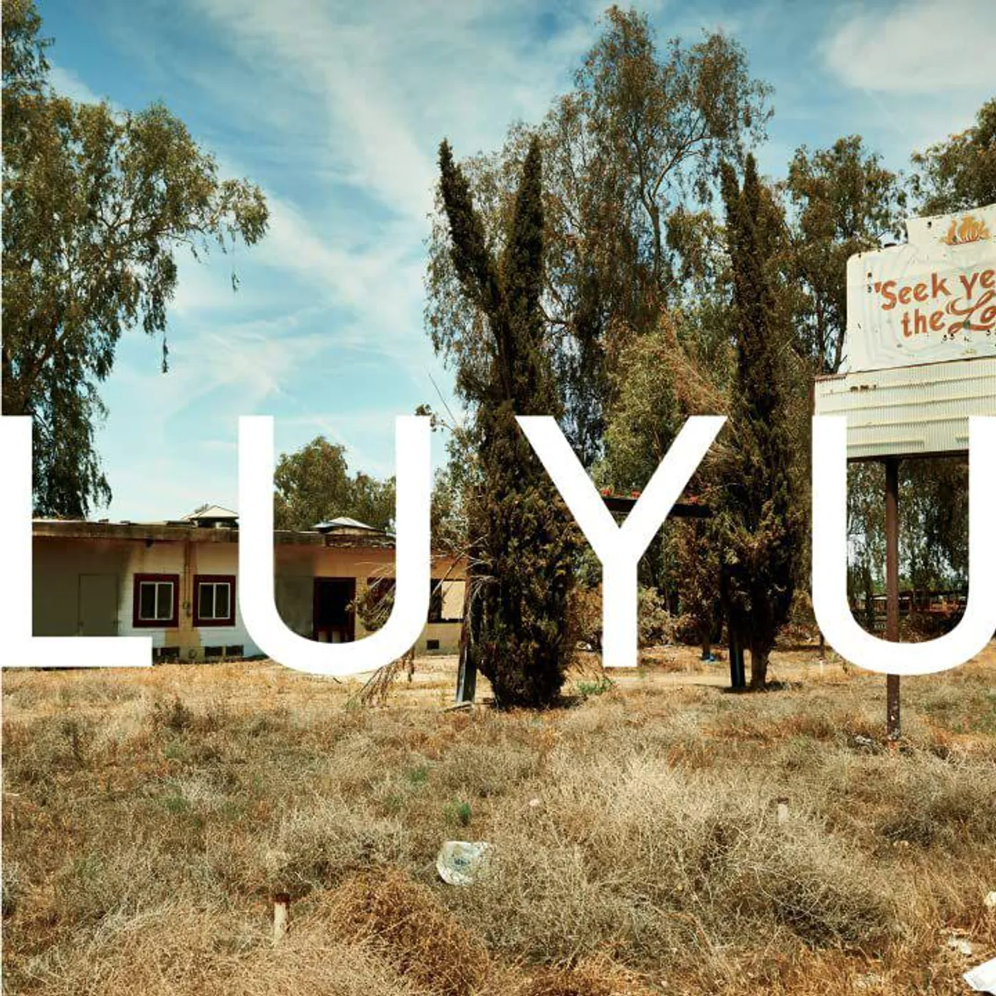 K. Leimer LUYU Vinyl Record
