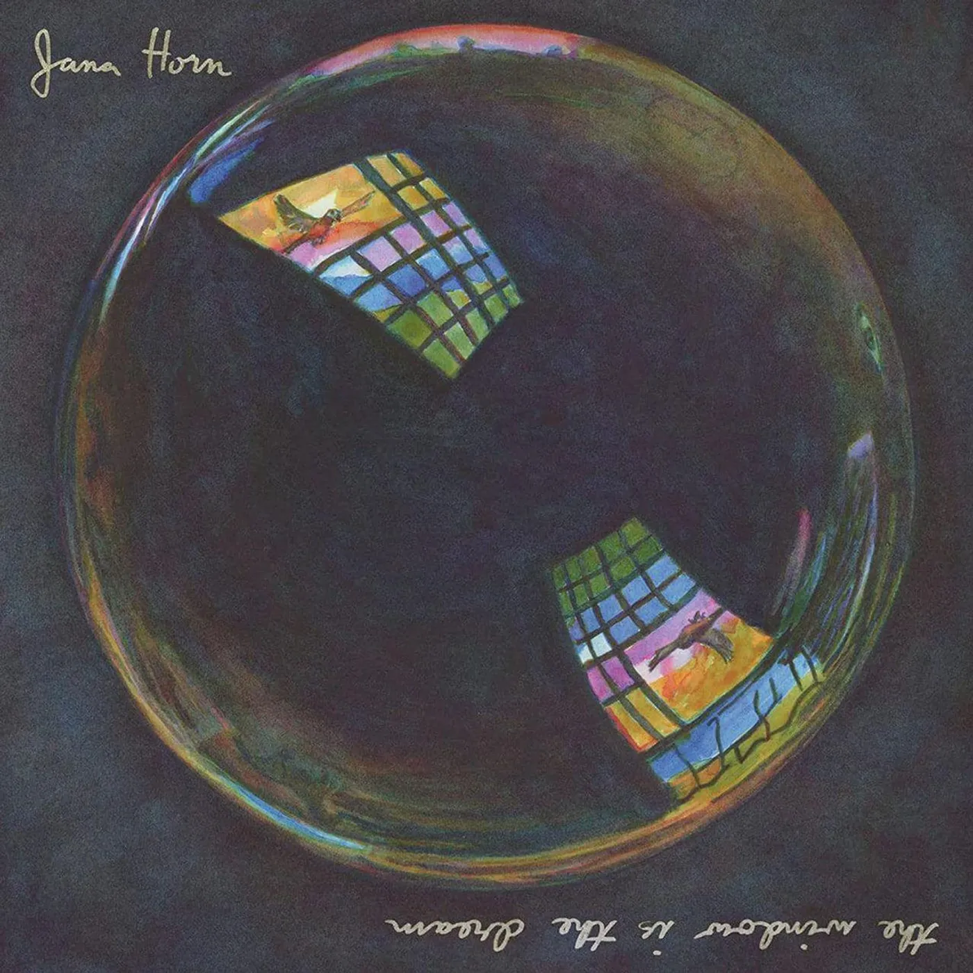 Jana Horn The Window Is The Dream Vinyl Record
