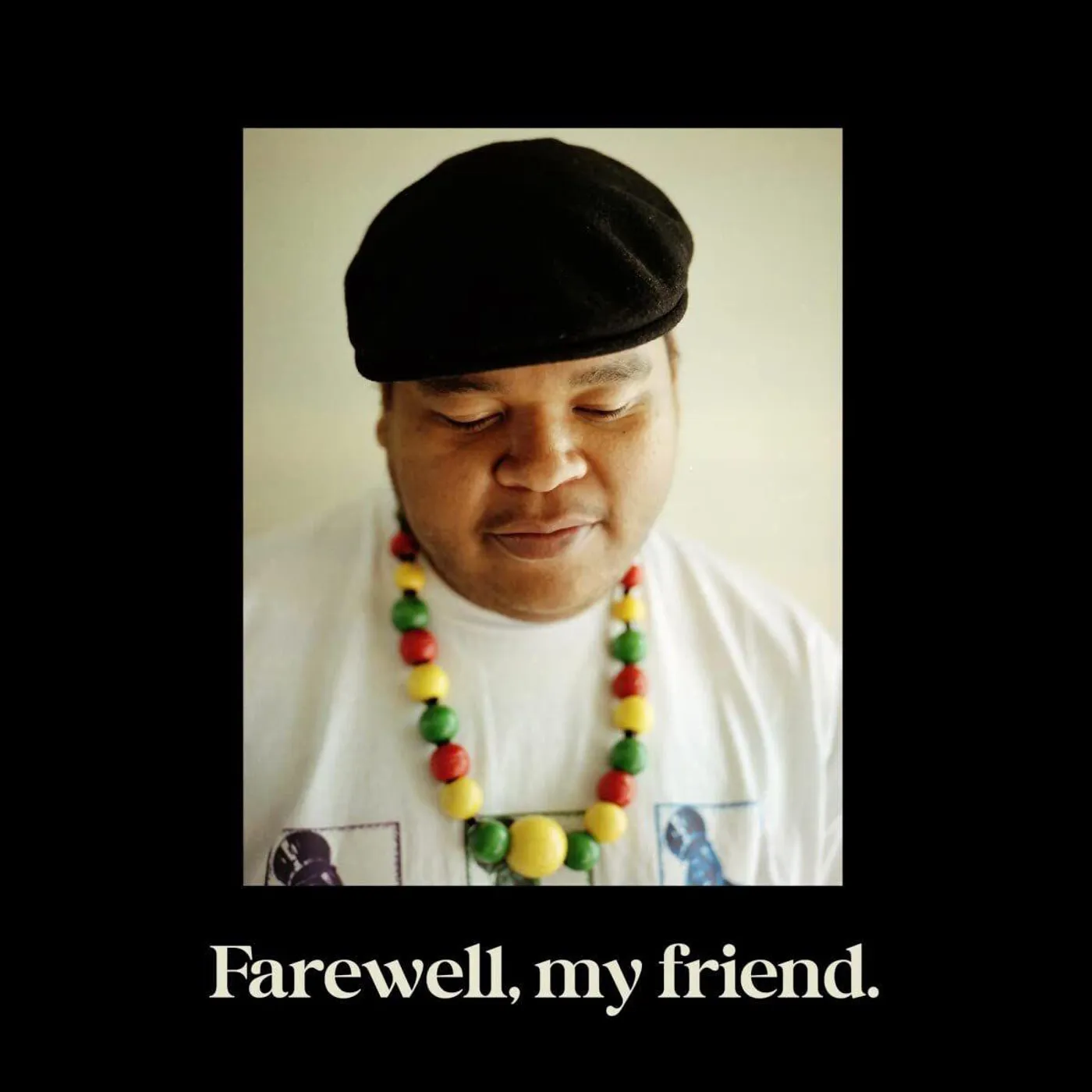 Thes One Farewell, My Friend. Vinyl Record