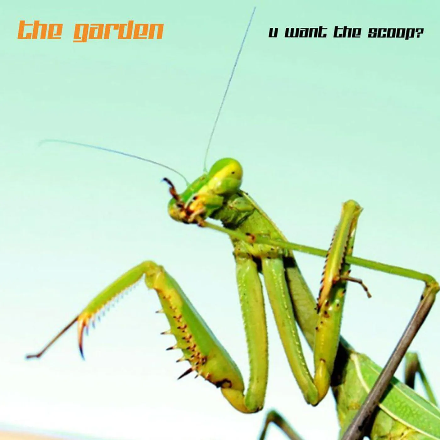 The Garden U Want The Scoop (Dl Card) Vinyl Record