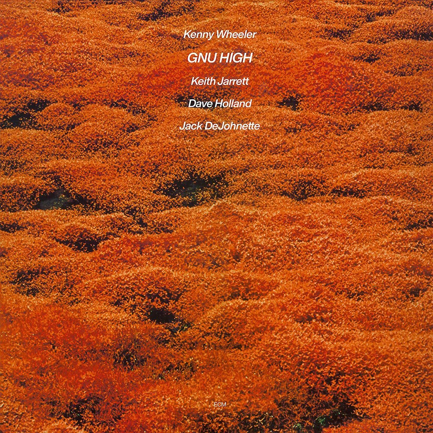 Kenny Wheeler Gnu High Vinyl Record