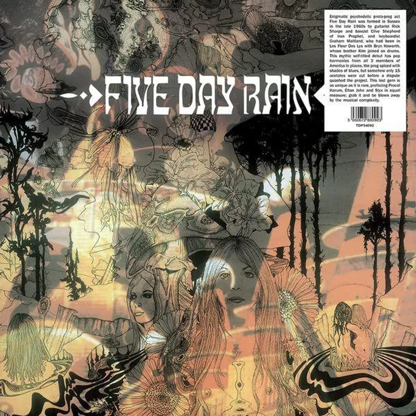  Five Day Rain S/T Vinyl Record