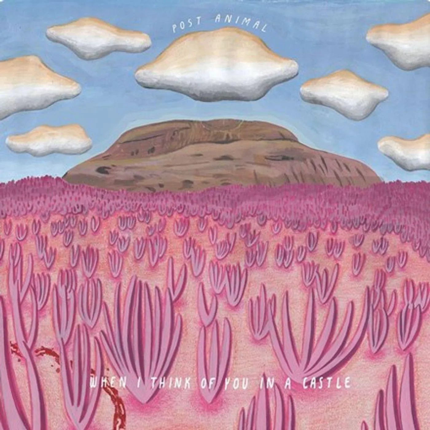 Post Animal WHEN I THINK OF YOU IN A CASTLE (180G/COLORED VINYL/DL CARD) Vinyl Record